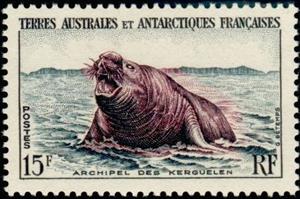 Stamp, Southern Elephant Seal (Mirounga leonina), French territories in the Antarctic,  , Animals (Fauna)