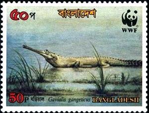 Stamp, Gharial (Gavialis gangeticus), Bangladesh,  , Crocodiles