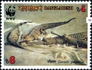 Stamp, Gharial (Gavialis gangeticus), Bangladesh,  , Crocodiles