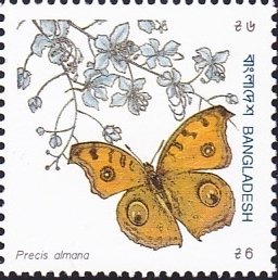 Peacock Pansy (Precis almana)