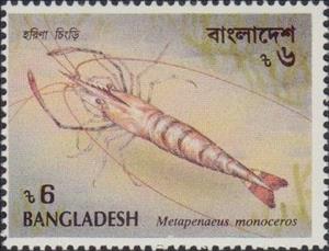 Stamp, Brown Shrimp (Metapenaeus monoceros), Bangladesh,  