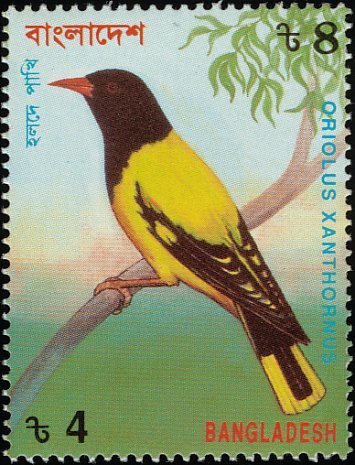 Black-hooded Oriole (Oriolus yanthornus)