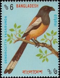 Stamp, Rufous Treepie (Dendrocitta vagabunda), Bangladesh,  , Birds, Animals (Fauna)