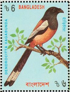 Stamp, Rufous Treepie (Dendrocitta vagabunda), Bangladesh,  , Birds, Animals (Fauna)