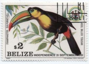 Keel-billed Toucan