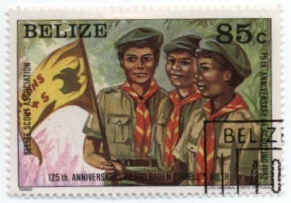 Scouts and pennant