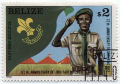 Scout salute