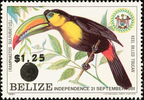 Keel-billed Toucan (Ramphastos sulfuratus) - Overprinted