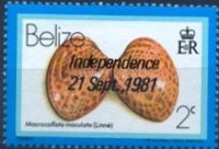 Stamp, Calico Clam (Macrocallista maculata), Belize,  , Shells