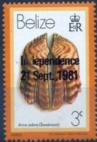 Stamp, Turkey Wing Ark Clam (Arca zebra), Belize,  , Shells
