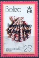 Stamp, Knobby Scallop (Chlamys imbricata), Belize,  , Shells