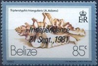 Stamp, (Tripterotyplis trangularis), Belize,  , Shells