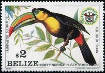 Keel-billed Toucan (Ramphastos sulfuratus)