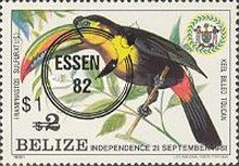 Keel-billed Toucan (Ramphastos sulfuratus)