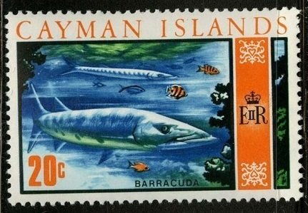 Stamp, Great Barracuda (Sphyraena barracuda), Cayman Islands,  