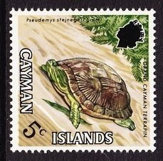 Grand Cayman Terrapin