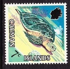 Green Turtle