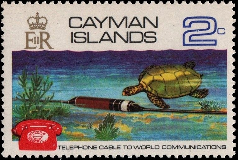 Cable,Turtle,Telephone