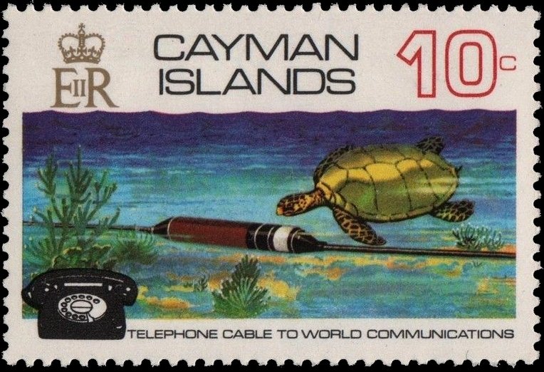 Cable,Turtle,Telephone