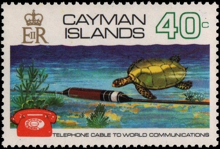 Cable,Turtle,Telephone