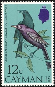 Stamp, Greater Antillean Grackle (Quiscalus niger), Cayman Islands,  , Birds, Animals (Fauna)