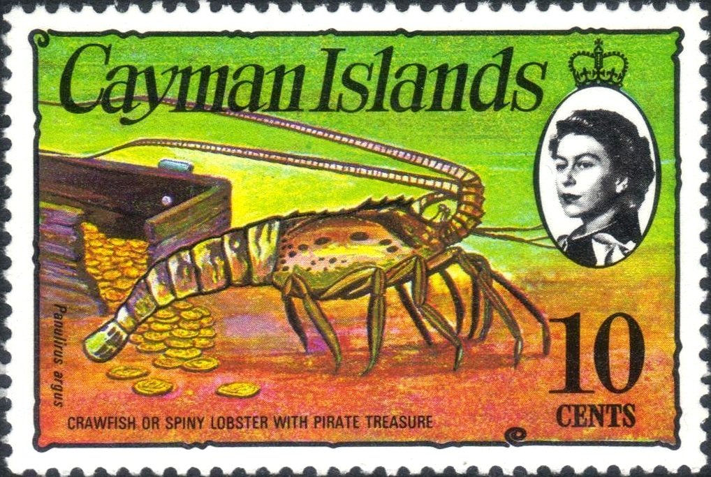 Caribbean Spiny Lobster (Panulirus argus). Gold Coins