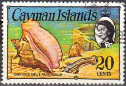 Queen Conch (Lobatus gigas), Pistol and Gold Cup