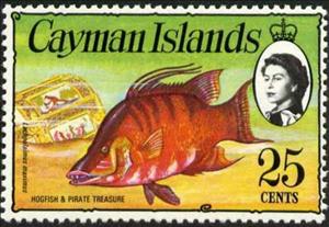 Stamp, Hogfish (Lachnolaimus maximus), Treasure Chest , Cayman Islands,  , Fishes