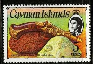 Stamp, Knobby Brain Coral (Diploria clivosa), Pistol, Cayman Islands,  