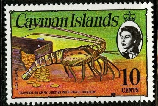 Caribbean Spiny Lobster (Panulirus argus)