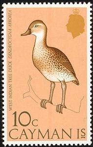 Stamp, West Indian Whistling Duck (Dendrocygna arborea), Cayman Islands,  , Birds, Animals (Fauna)