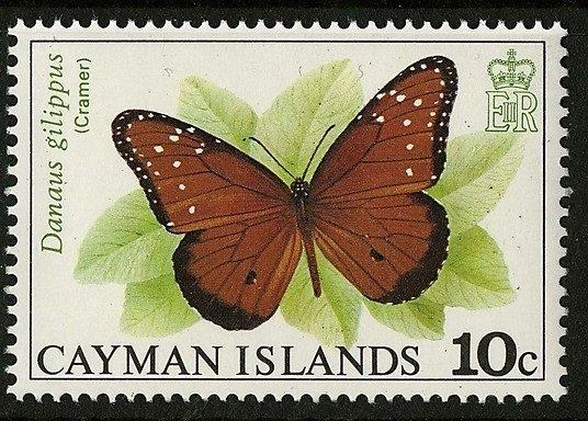 Queen Butterfly (Danaus gilippus)