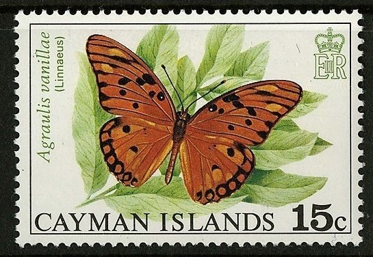 Gulf Fritillary (Agraulis vanillae)