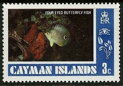 Foureye Butterflyfish (Chaetodon capistratus)