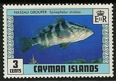 Stamp, Nassau Grouper (Epinephelus striatus), Cayman Islands,  , Fishes