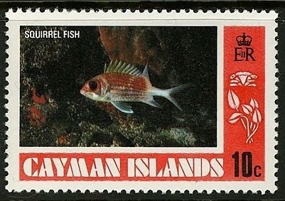 Longspine Squirrelfish (Holocentrus rufus)