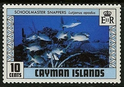 Schoolmaster Snapper (Lutianus apodus)
