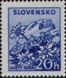 Kvety Tatier