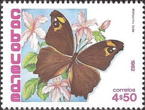 Stamp, Common Evening Brown (Melanitis leda), Cabo Verde,  , Insects, Butterflies, Animals (Fauna)