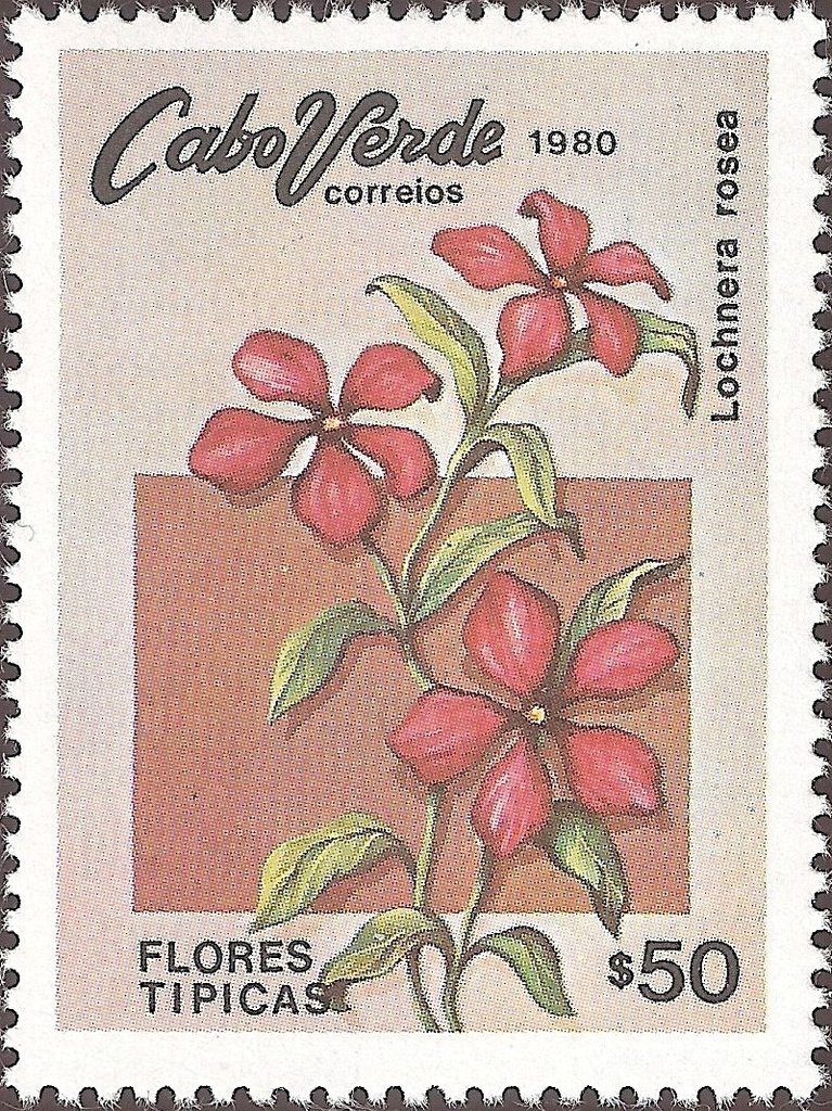 Typical Flowers