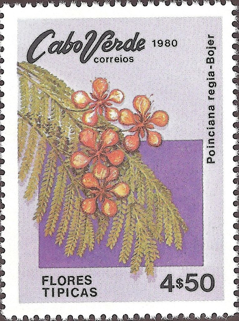 Typical Flowers