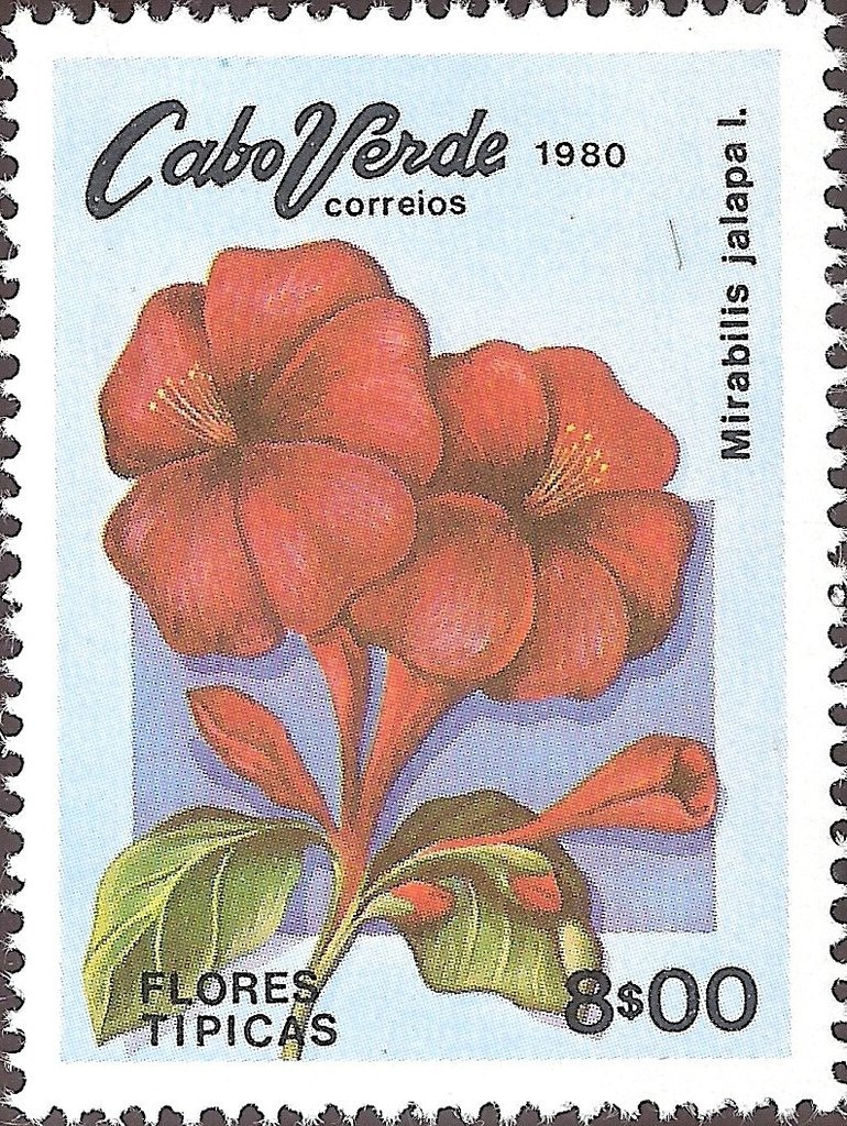 Typical Flowers