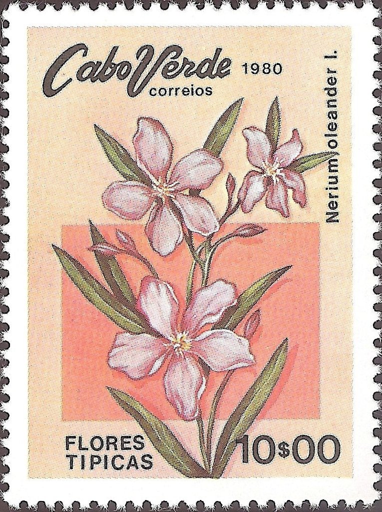 Typical Flowers