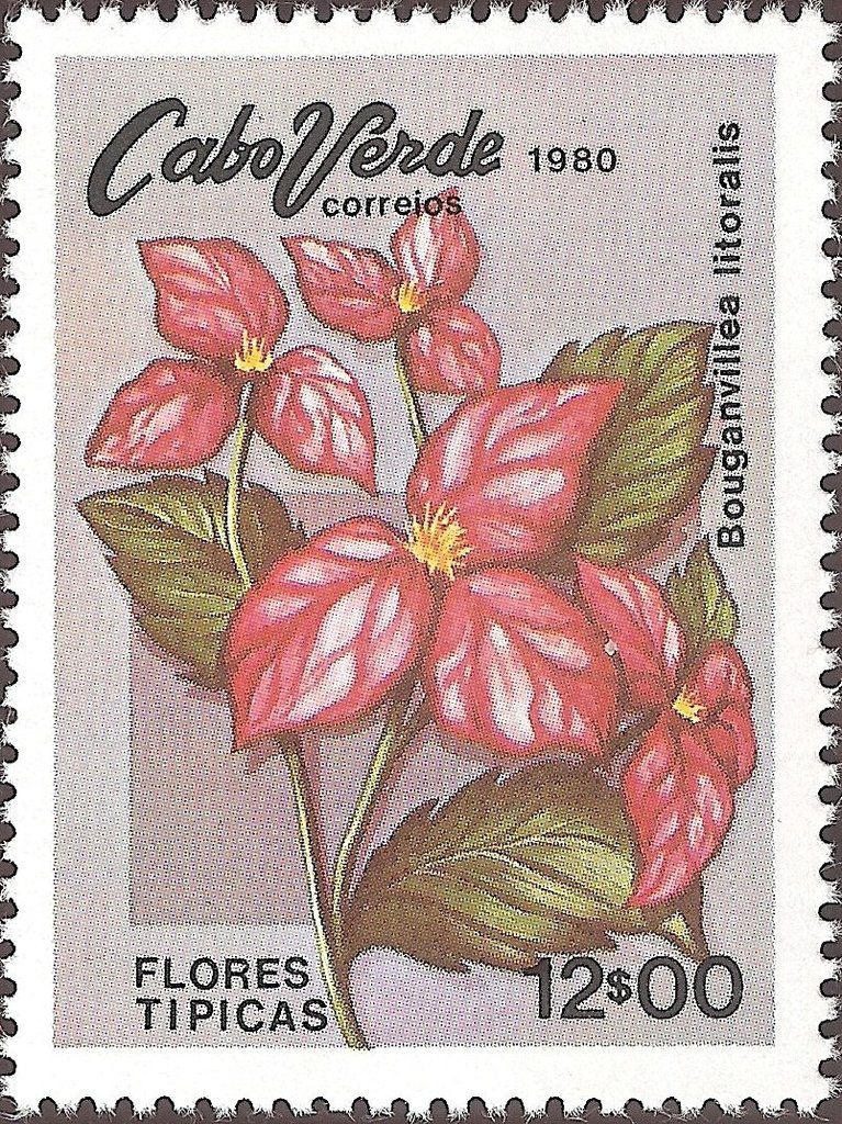 Typical Flowers