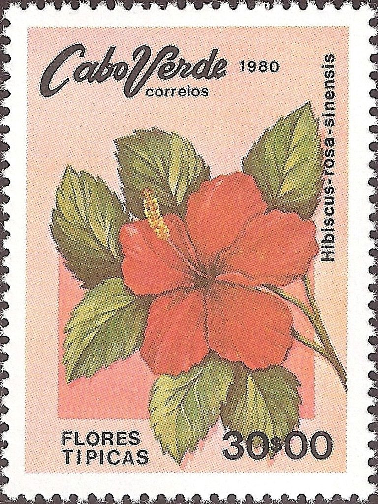 Typical Flowers