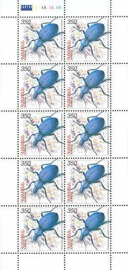 Mini Sheet with 10x Falletti's Ground Beetle (Procerus scabr