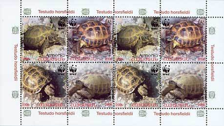Mini Sheet with 8x Horsfield's Tortoise (Testudo horsfieldii