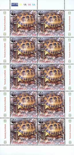 Mini Sheet with 10x Horsfield's Tortoise (Testudo horsfieldi