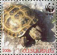 Stamp, Horsfield's Tortoise (Testudo horsfieldii), Armenia,  , WWF, Reptiles, Turtles, Animals (Fauna)
