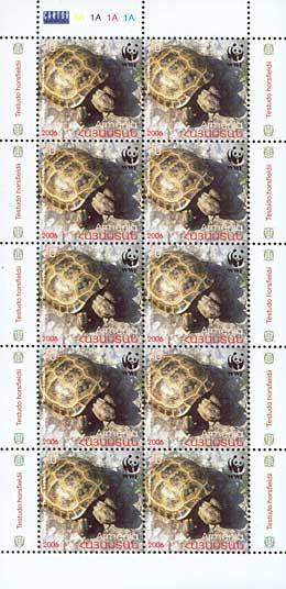 Mini Sheet with 10x Horsfield's Tortoise (Testudo horsfieldi